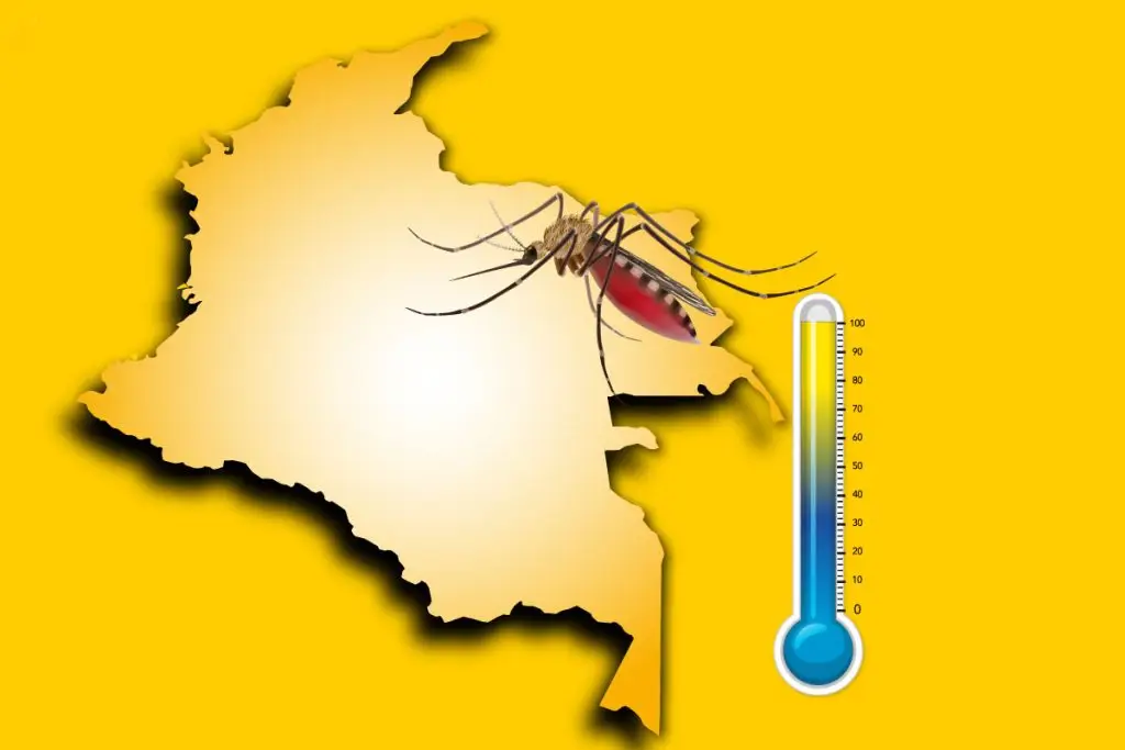Fiebre Amarilla